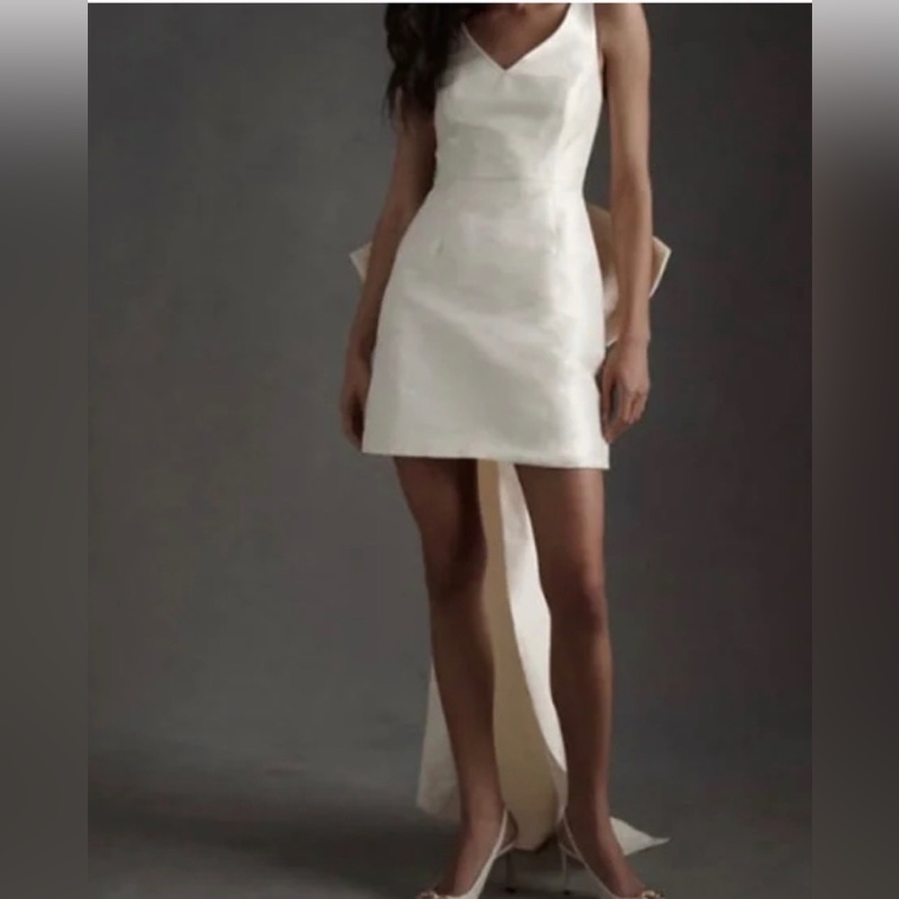 BHLDN The Sachin & Babi Archie Mini Dress dress